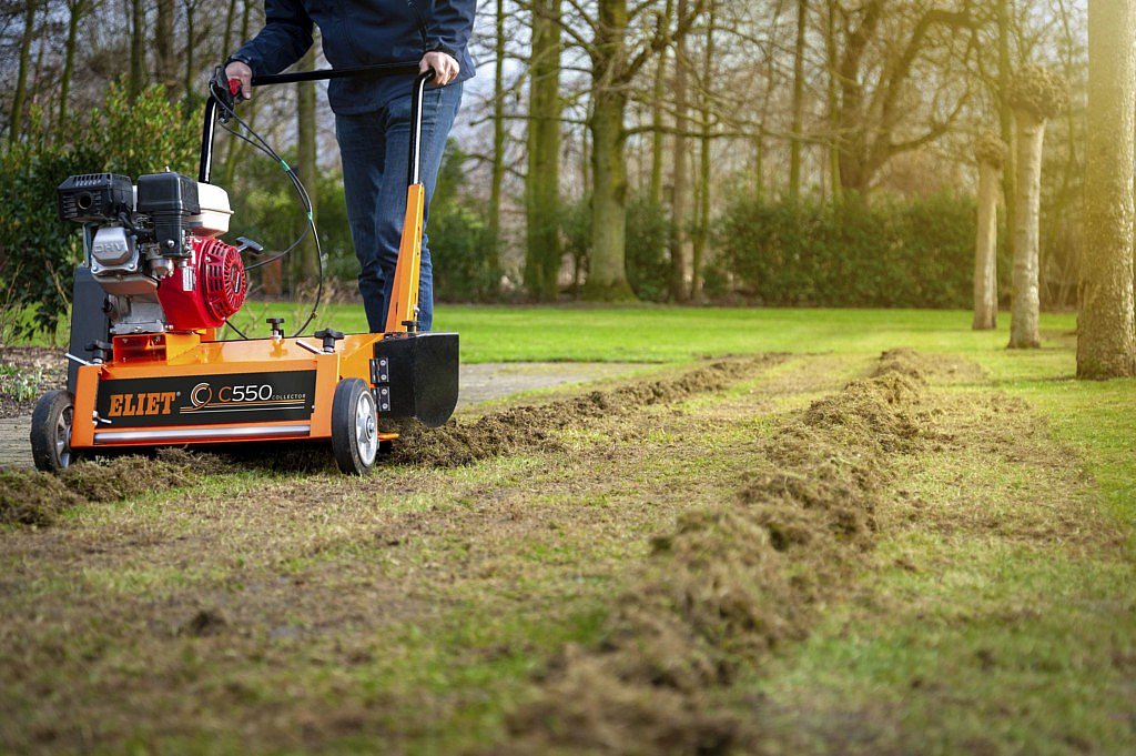 Agribex Zilveren Buxus Eliet CG Concept groenvoorziening