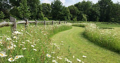 BT Bloementapijten Schoten graszoden bloemenweide biodiversiteit tuinontwerp tuinen tuinaanleg tuinarchitectuur landschapsarchitectuur onderhoud CG Concept Jaarboek 2020