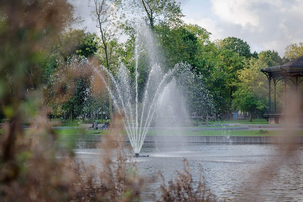 Blauwalg OASE Living Water zwemvijver decoratieve waterpartijen fonteinen kanalen waterwegen vijvers cyanobacterie giftig groenondernemer tuinaanlegger tuinaanleg tuinen CG Concept Jaarboek 2020