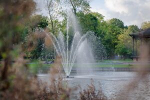 Blauwalg OASE Living Water CG Concept Jaarboek 2020