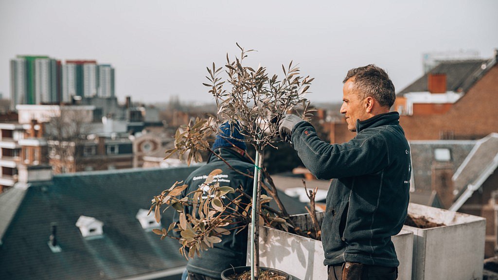 Walfilii expert duurzaamheid klimaat CG Concept Jaarboek duurzaamheid cortensaal 2020