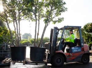 Boomkwekerij Willaert Tuincetrum Tuinaanleg bomen groensector planten tuin groothandel cash & carry duurzaamheid klimaat beplanting CG Concept Jaarboek 2020