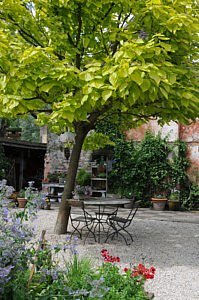 Klimaat openbaar groen CG Concept Jaarboek 2020 toekomst klimaattuin Marc Verachtert Zakboek voor de Klimaatboek handleiding gids klimaatvriendelijke tuin tips bomen klimaatboom bloemen boomsoorten