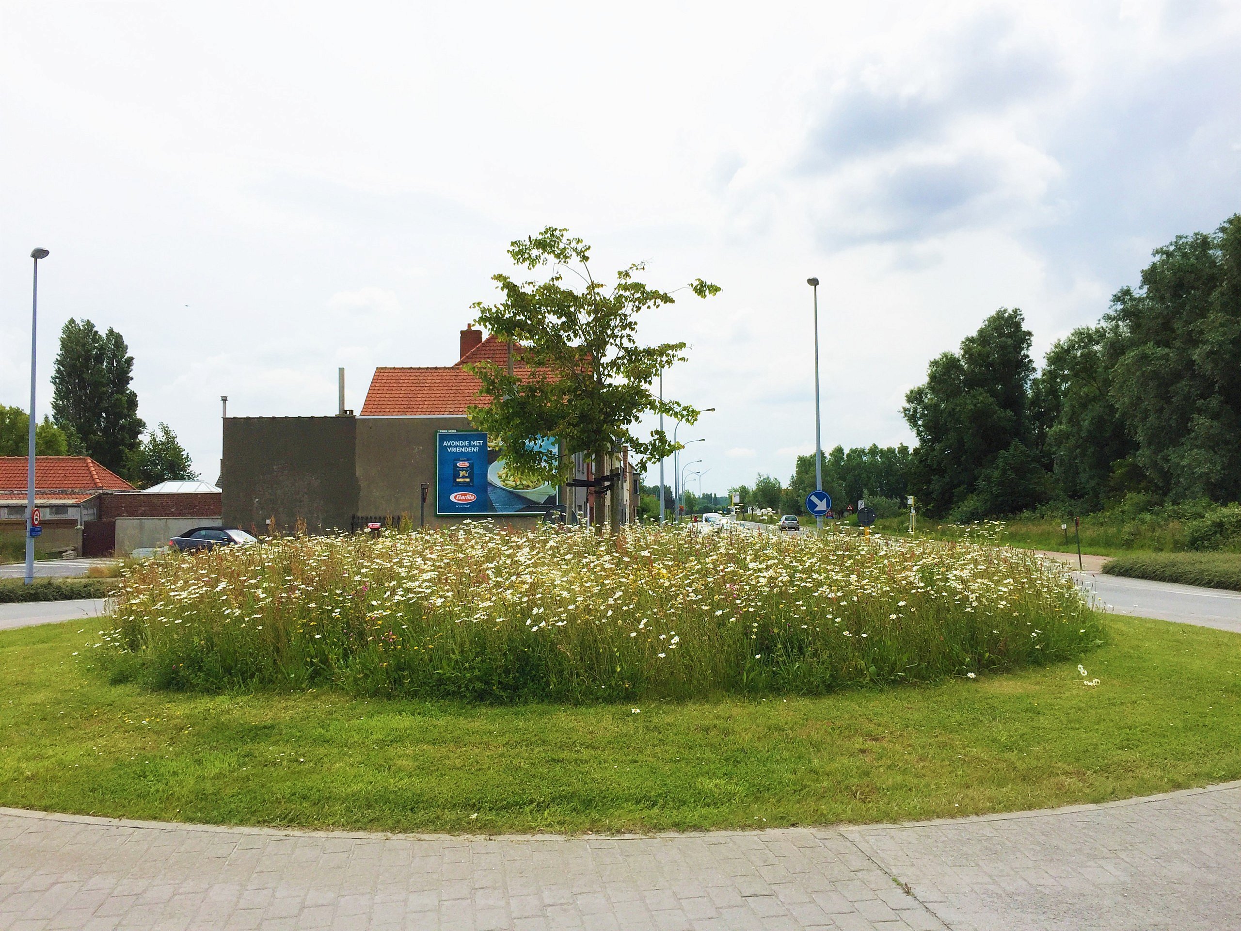 BT Bloementapijten Schoten graszoden bloemenweide biodiversiteit tuinontwerp tuinen tuinaanleg tuinarchitectuur landschapsarchitectuur onderhoud CG Concept Jaarboek 2020