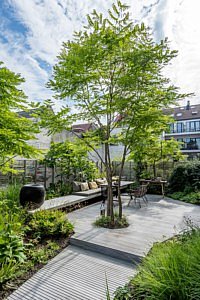 Zakboek voor de klimaattuin klimaatvriendelijke tuin klimaatbewust klimaatverandering klimaatopwarming planten tuinen bomen struiken bloemen regenval droogte hitte Marc Verachtert Bart Verelst tuin aanpassen groenprofessionals tips tuinaanleggers tuinaannemers tuinarchitecten korting bestellen gratis verzending nieuw boek bookshop boekenshop CG Concept magazine