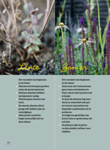 Een tuin barstensvol bloemen: binnen een jaar & met vaste planten bloemen bloementuin siertuin meerjarigen onderhoudsarm makkelijk biologisch ecologisch natuurlijk tuinieren biodiversiteit natuurlijk evenwicht insecten bijen vlinders tips hulp ideeën bloeiende tuin CG Concept magazine