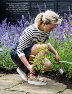 Een tuin barstensvol bloemen: binnen een jaar & met vaste planten bloemen bloementuin siertuin meerjarigen onderhoudsarm makkelijk biologisch ecologisch natuurlijk tuinieren biodiversiteit natuurlijk evenwicht insecten bijen vlinders tips hulp ideeën bloeiende tuin CG Concept magazine