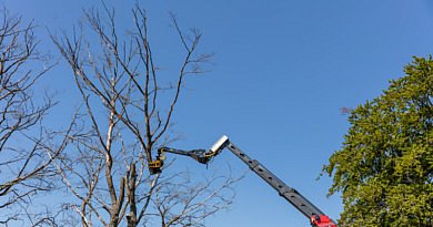 GMT Equipment nieuw velkop total tree control TTC velkop bewegingsflexibiliteit bomen boom systeem techniek groensector groenaanleg techniek materiaal nieuwigheden trends groenbranche cg concept belgisch vakblad vakmagazine tuinarchitecten info landschapsarchitecten sectornieuws groendiensten projectontwikkelaar aannemers