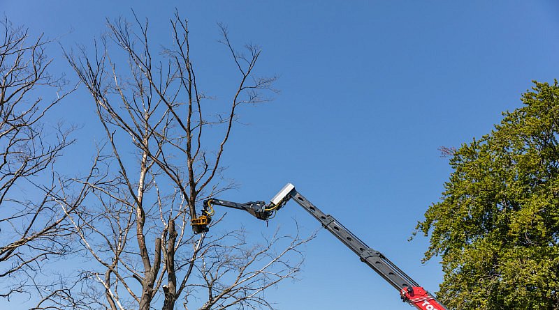 GMT Equipment nieuw velkop total tree control TTC velkop bewegingsflexibiliteit bomen boom systeem techniek groensector groenaanleg techniek materiaal nieuwigheden trends groenbranche cg concept belgisch vakblad vakmagazine tuinarchitecten info landschapsarchitecten sectornieuws groendiensten projectontwikkelaar aannemers