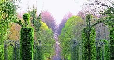 La belgique des jardins nieuw boek in de fence boekenshop tuinboeken tuinliefhebbers natuur bezoektuinen tuinarchitectuur landschapsarchitectuur Belgische tuinen fence tuinmagazine inspiratie beleving en tips