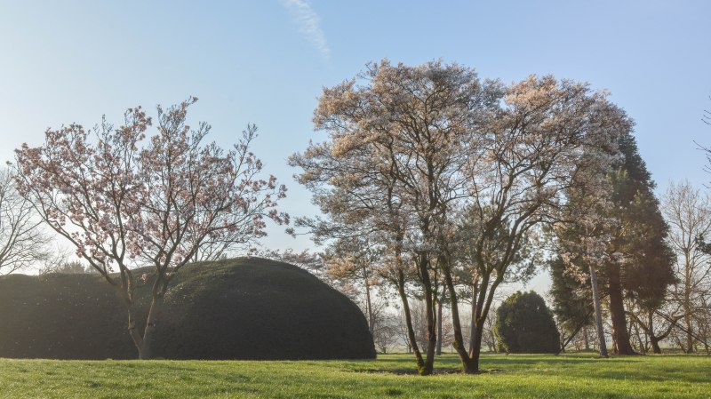 CG Concept magazine is een vakblad met vakliteratuur voor de professionele groensector in België. Interview met Solitair Boomkwekerij voor de CG Annual 2021. Het Jaarboek is een uitgave over de klimaatuitdagingen voor de groensector waarin oplossingen geboden worden aan tuinaanleggers, tuinarchitecten, landschapsarchitecten, groendiensten,...