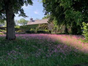 CG Concept magazine is een vakblad met vakliteratuur voor de professionele groensector in België. Kies nu voor kant-en-klare bloementapijten en zorg zo voor meer biodiversiteit en kleur in je tuin. De mogelijkheden zijn eindeloos bij BT-Bloementapijten. Lees meer in het CG Jaarboek 2021.
