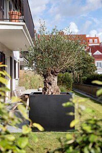 We besteden weer veel meer aandacht aan onze eigen open ruimte, want ‘There is no place like home’. WALFiLii is in dit geval de aristocratische sfeerbrenger bij uitstek met zijn exclusieve XXL-plantenbakken, vuurschalen en waterpartijen.