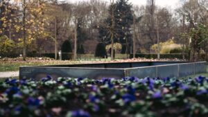 We besteden weer veel meer aandacht aan onze eigen open ruimte, want ‘There is no place like home’. WALFiLii is in dit geval de aristocratische sfeerbrenger bij uitstek met zijn exclusieve XXL-plantenbakken, vuurschalen en waterpartijen.