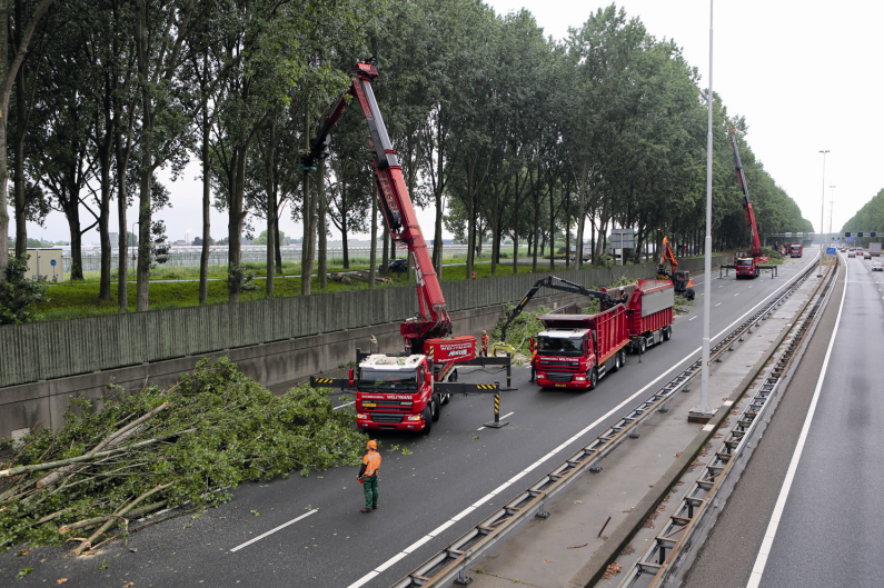 Nu in de CG Annual 2021: Boomrooierij Weijtmans, dé specialist voor het veilen en demonteren van bomen.