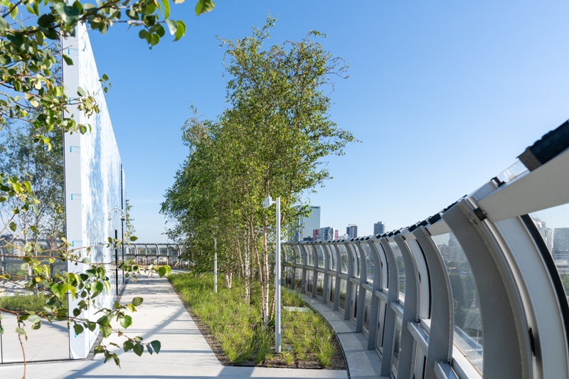 Nu in het CG Concept Jaarboek 2021: Boomkwekerij Ebben levert berken voor spectaculaire daktuin van het kunstdepot Boijmans van Beuningen in Rotterdam.