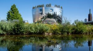 Nu in het CG Concept Jaarboek 2021: Boomkwekerij Ebben levert berken voor spectaculaire daktuin van het kunstdepot Boijmans van Beuningen in Rotterdam.