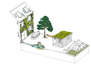 CG Concept Magazine, vakblad voor de professionele groensector: Blauwgroenvlaanderen.be inspireert, informeert en infiltreert.
