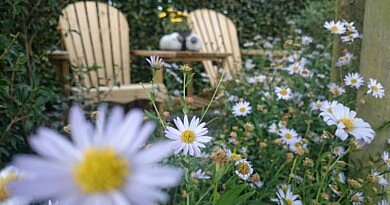 De tuin anders om de klimaatopwarming te keren.