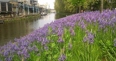 CG Concept XTRA: Biodiversiteit en klimaat kunnen niet afzonderlijk worden aangepakt.