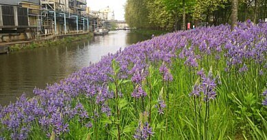 CG Concept XTRA: Biodiversiteit en klimaat kunnen niet afzonderlijk worden aangepakt.