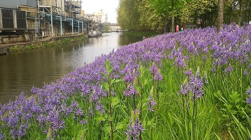 CG Concept XTRA: Biodiversiteit en klimaat kunnen niet afzonderlijk worden aangepakt.