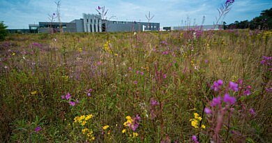 CG Concept: Meer biodiversiteit op bedrijventerreinen