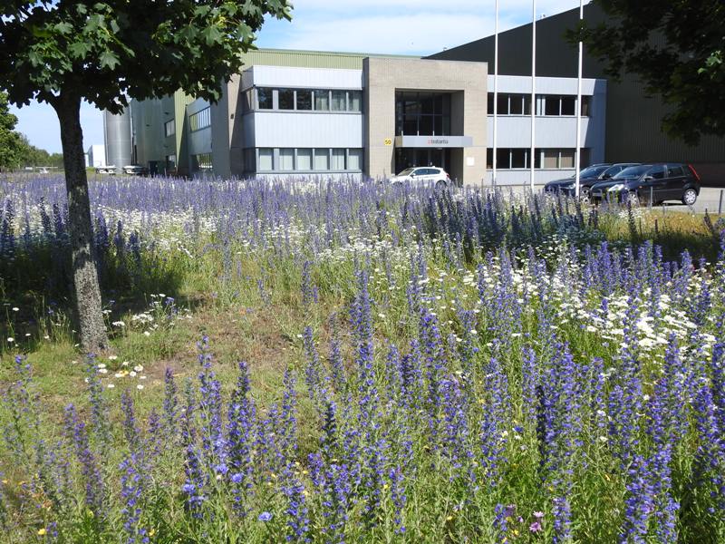 CG Concept: Meer biodiversiteit op bedrijventerreinen