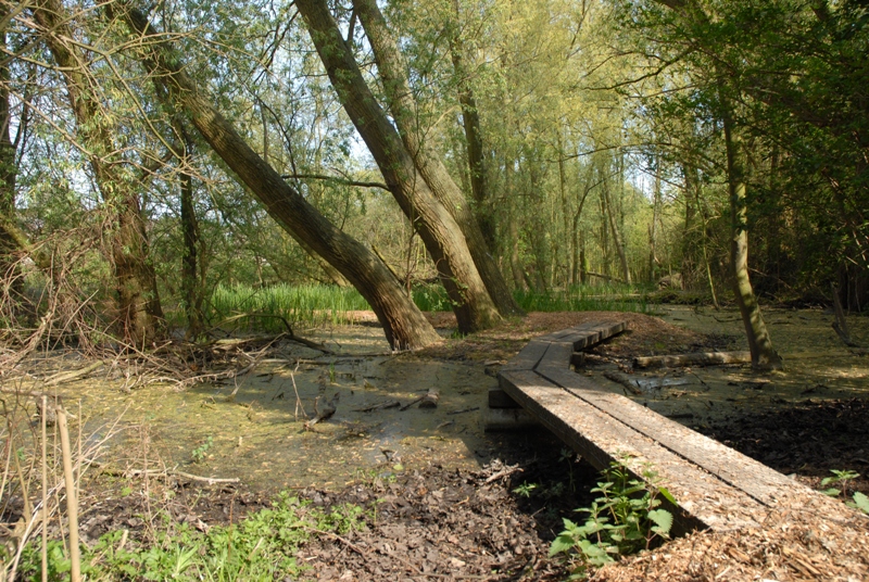 CG Concept XTRA: Biodiversiteit en klimaat kunnen niet afzonderlijk worden aangepakt.