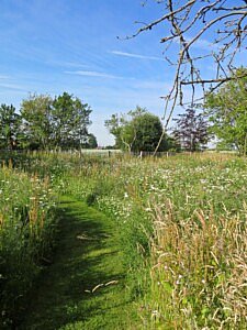 CG Concept vakmagazine voor de Belgische professionele groensector: Red de biodiversiteit