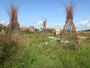 CG Concept: Meer biodiversiteit op bedrijventerreinen