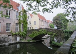 Verticaal groen en natuurtechnieken: voordelen en nadelen van gevelgroen