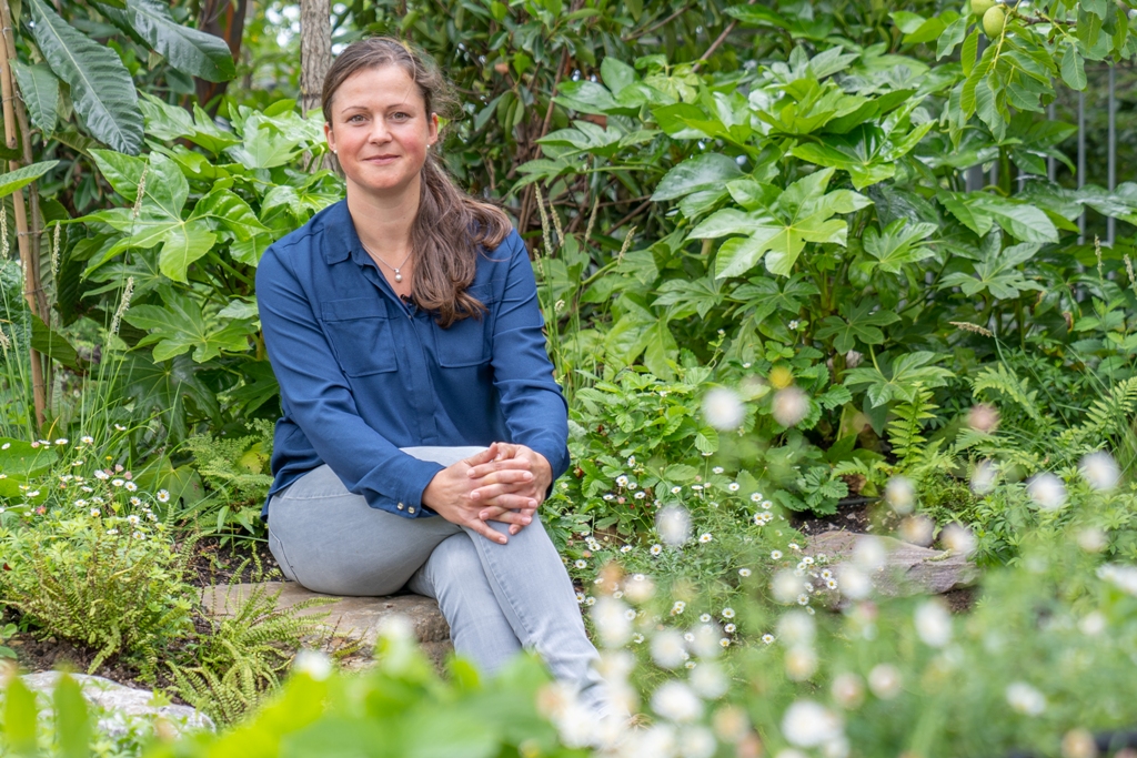 Boomkwekerij Ebben pakt uit met vernieuwde daktuin