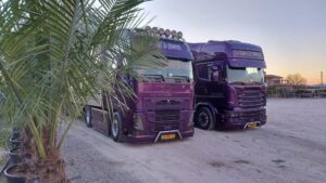 Van tuinontwerp naar droomtuin met Piante Di Domani