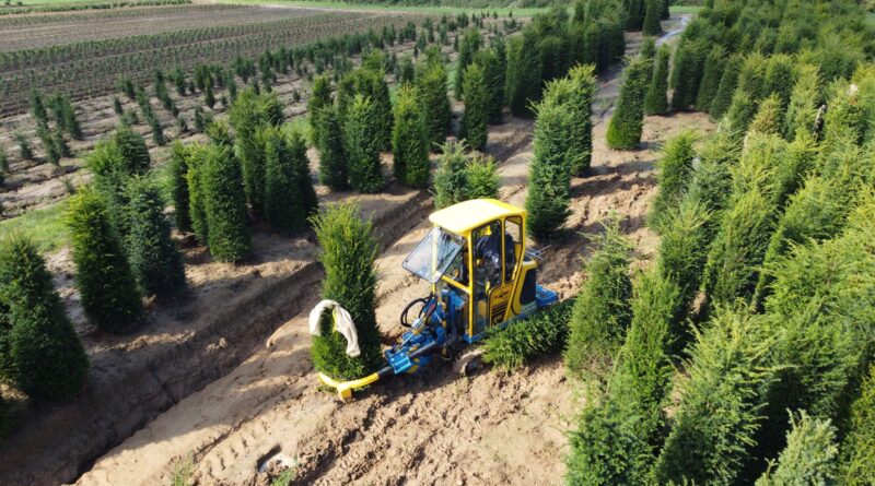 Boomkwekerij Bogaert_professionalisering in de groensector_cg concept XTRA_vakmagazine groenaanleg buitenruimte urbanisme