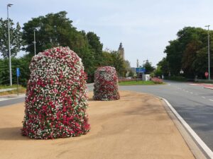 cg concept XTRA_bedrijf in de kijker_terracottem_marktleider in bodemverbeteringstechnologie_flowers
