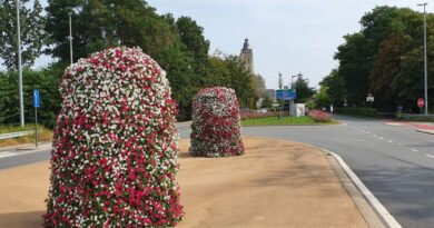 cg concept XTRA_bedrijf in de kijker_terracottem_marktleider in bodemverbeteringstechnologie_flowers