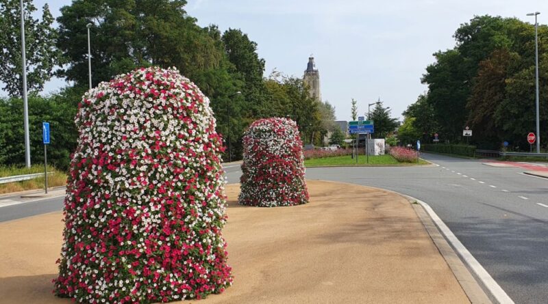 cg concept XTRA_bedrijf in de kijker_terracottem_marktleider in bodemverbeteringstechnologie_flowers