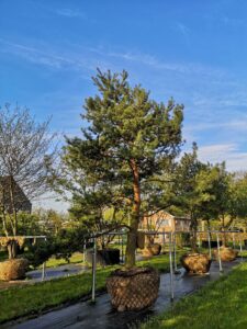 professionalisering in de groensector_green supply bv_cg concept xtra_editie 2 2022