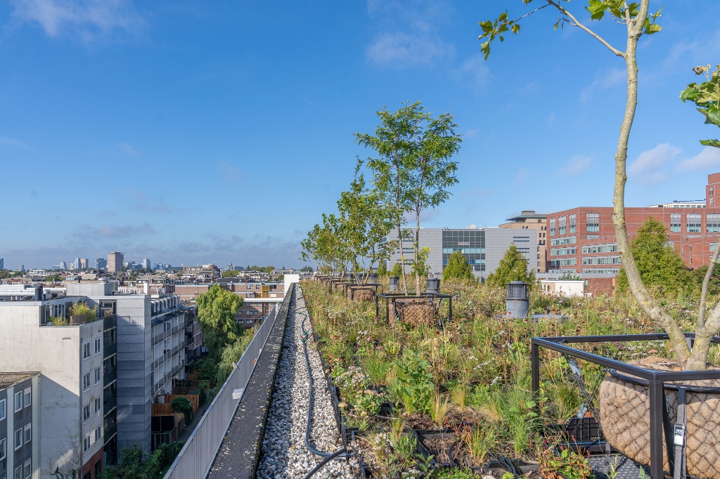 Waar voorheen het dak van het appartementencomplex niets meer was dan een hitte-eiland van bitumen en grind, gloort nu een groen dak, op ruim 16 meter hoogte, met een grote variëteit aan planten én bomen.