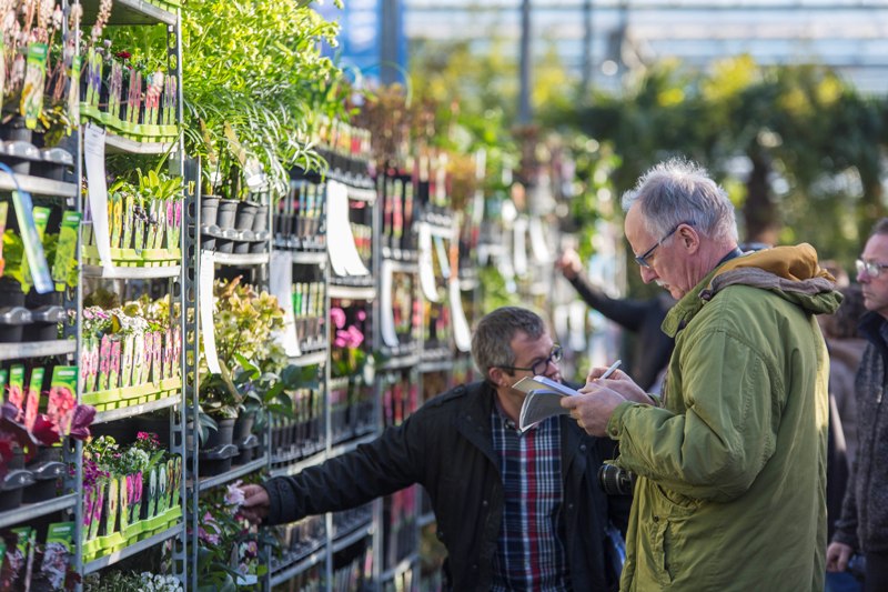 Plantenassortiment Boomkwekerij Willaert