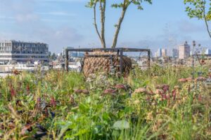Kostbare onbenutte ruimte gebruiken voor een klimaatadaptieve stad.
