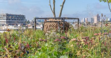 Kostbare onbenutte ruimte gebruiken voor een klimaatadaptieve stad.