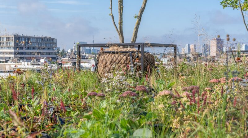 Kostbare onbenutte ruimte gebruiken voor een klimaatadaptieve stad.