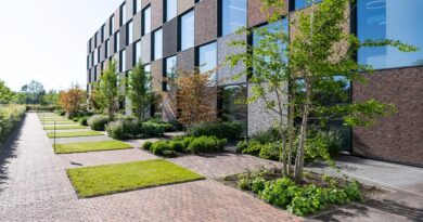 Steenbakkerij Vande Moortel 2021, een klimaatbestendige site met waterdoorlatende verhardingen.