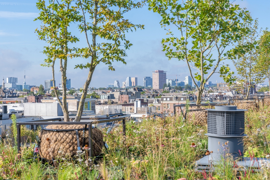 Vergroenen waar het normaal niet kan met de lichtgewicht 'Urban Tree' die niet met zijn wortels in de volle grond staat maar in een speciaal geprepareerde kluit. Hierdoor weegt deze slechts een fractie van zijn normale gewicht.