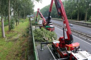 Boomrooierij Weijtmans: 100 jaar vakmanschap en innovatie