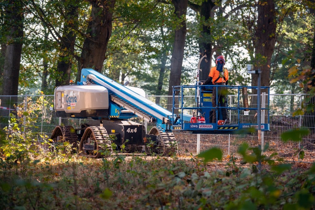 Boomrooierij Weijtmans: 100 jaar vakmanschap en innovatie