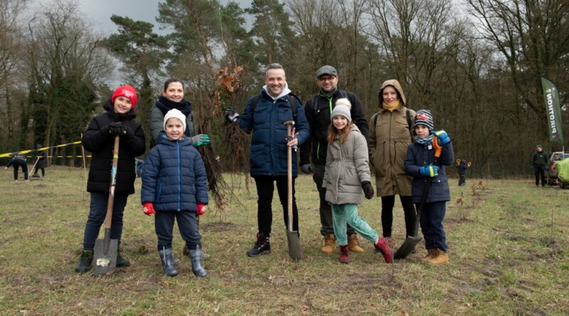 Forest in One Day: nieuw bos in Genk