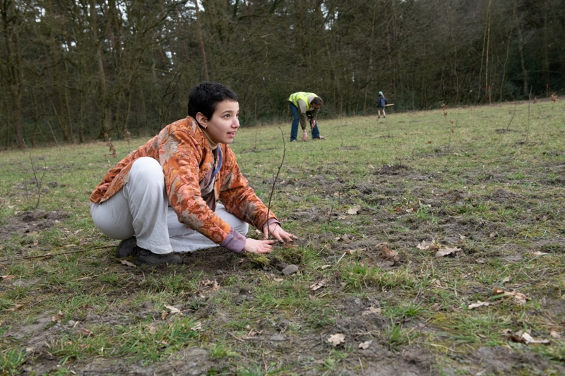 Forest in One Day: nieuw bos in Genk